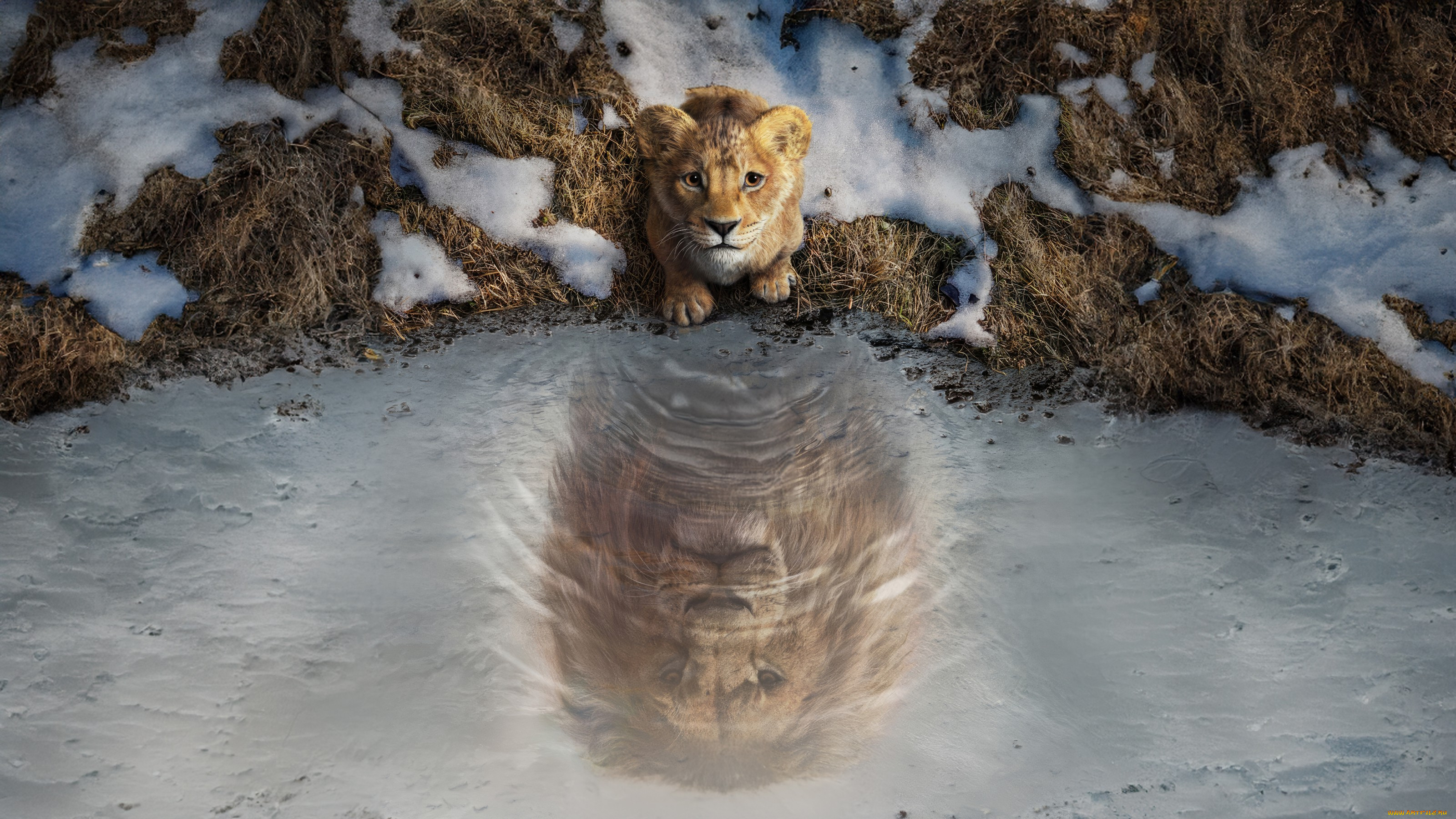 mufasa,  the lion king,  , the, lion, king